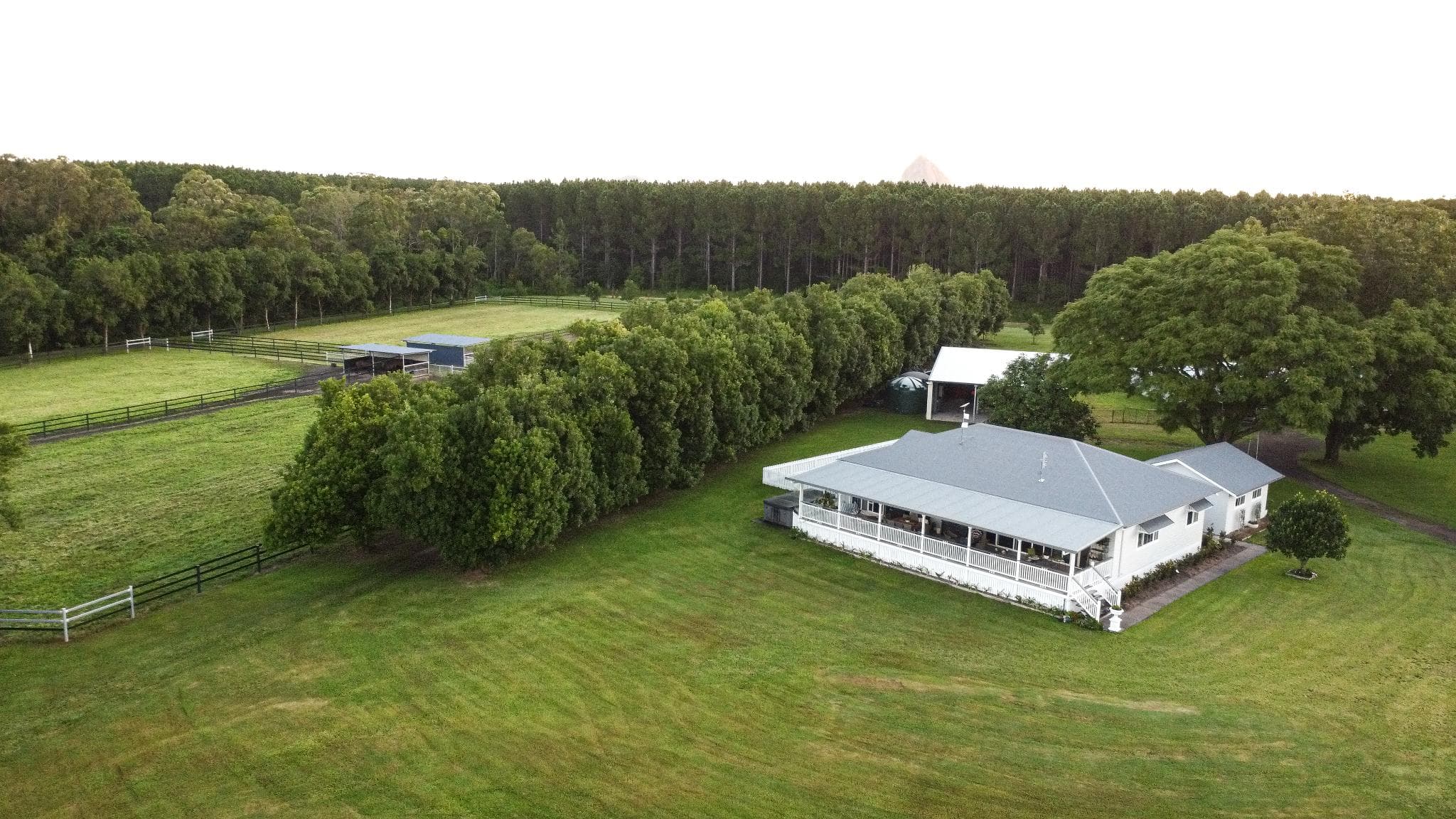 DJI_0170.jpg