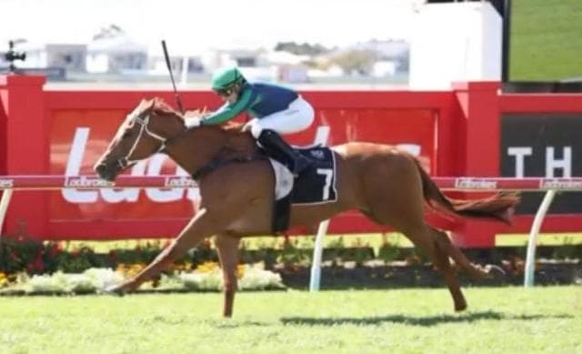 Magic Millions Runners