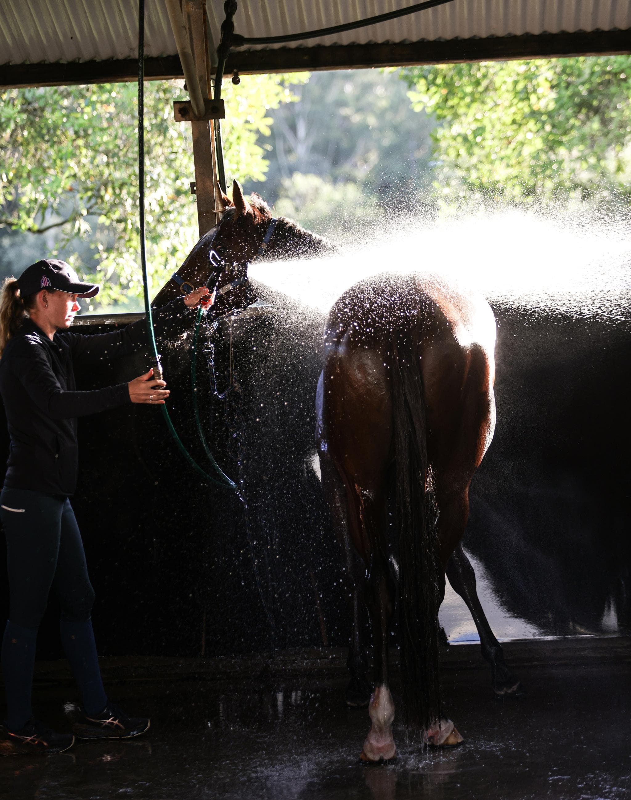 location - Cloverdale  (6).jpg