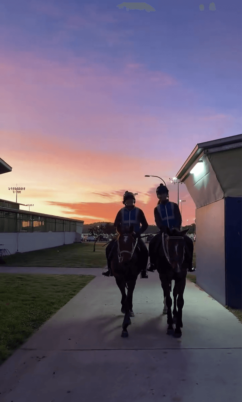 Screen Shot 2025-08-05 at 12.03.03 pm.png