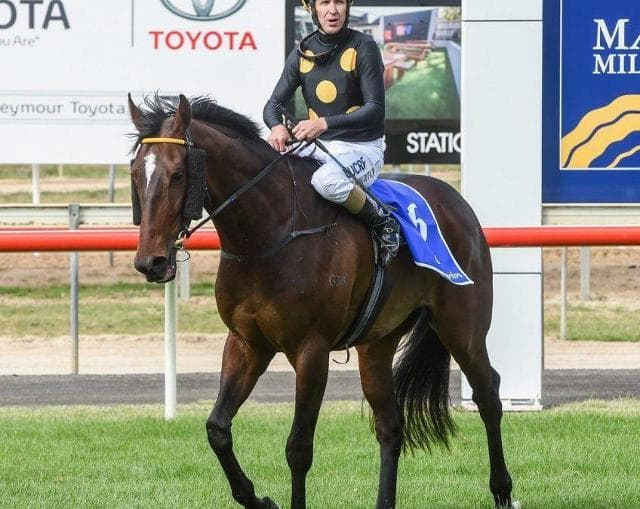 Balf’s Choice chasing another 1600m win